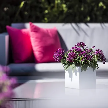 Hotel Badl - Smart Retreat Ao (adults Only) Caldaro